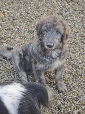 WhatsApp Bild 2025 11 21 um 17.08.40 b99ab74d