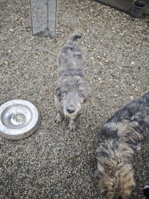 WhatsApp Bild 2025 11 21 um 17.08.41 3b7f9c04