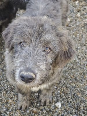 WhatsApp Bild 2025 11 21 um 17.08.41 462bd281