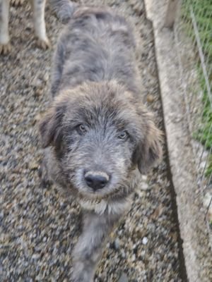 WhatsApp Bild 2025 11 21 um 17.08.41 b7ef0025