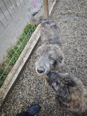 WhatsApp Bild 2025 11 21 um 17.08.41 ec705406