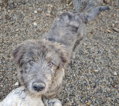 WhatsApp Bild 2025 11 21 um 17.08.41 ed030512