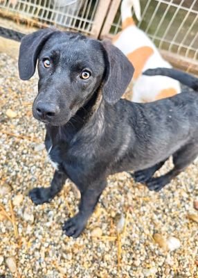 WhatsApp Bild 2025 11 21 um 17.52.22 e733f9cd