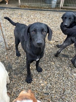 WhatsApp Bild 2025 11 21 um 17.52.36 9d98ef1a