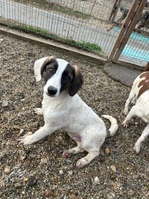 WhatsApp Bild 2025 11 21 um 17.54.32 e4a08689