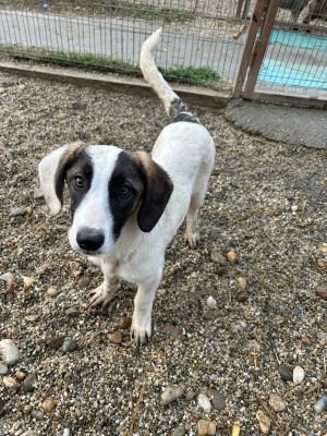 WhatsApp Bild 2025 11 21 um 17.54.33 537e606b