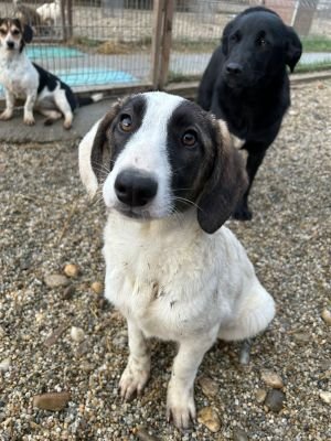 WhatsApp Bild 2025 11 21 um 17.54.34 3ded377c