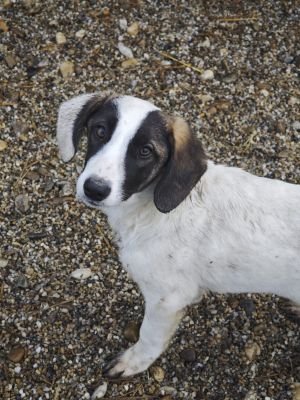 WhatsApp Bild 2025 11 21 um 17.54.37 46d15446