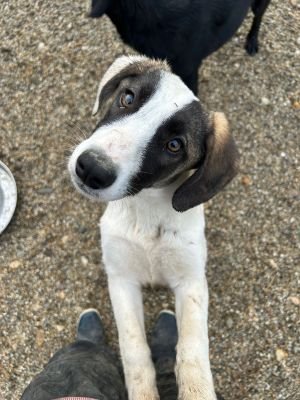 WhatsApp Bild 2025 11 21 um 17.54.37 e5c72582