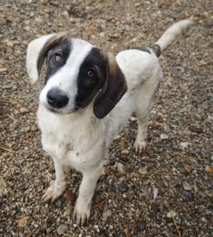 WhatsApp Bild 2025 11 21 um 17.54.38 246d1809