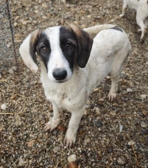 WhatsApp Bild 2025 11 21 um 17.54.38 b3ea845a