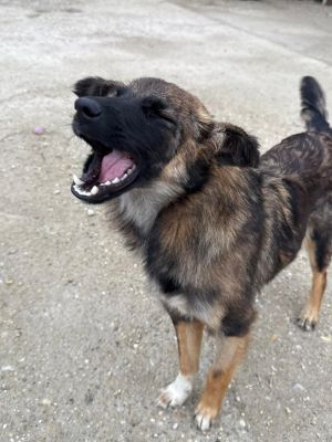 Whatsapp image 2025 10 11 at 10.58.51 (1)