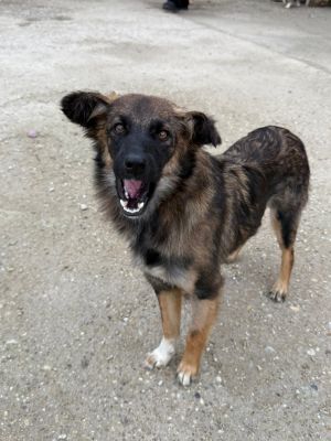 Whatsapp image 2025 10 11 at 10.58.52 (1)