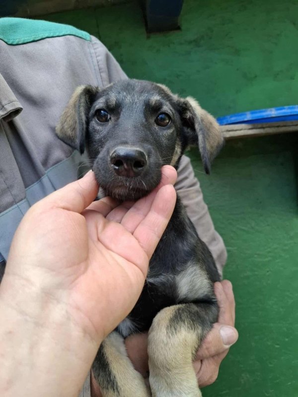 Whatsapp image 2025 10 20 at 11.03.18 (1)