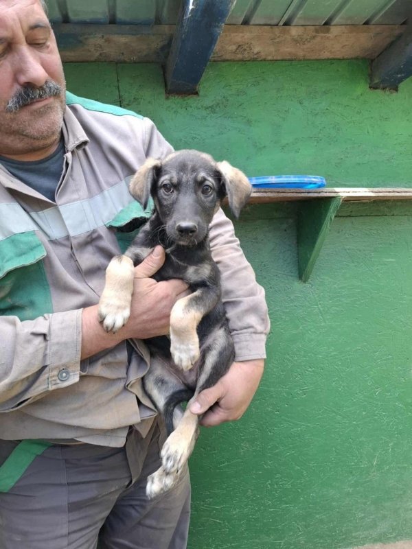 Whatsapp image 2025 10 20 at 11.03.18 (3)