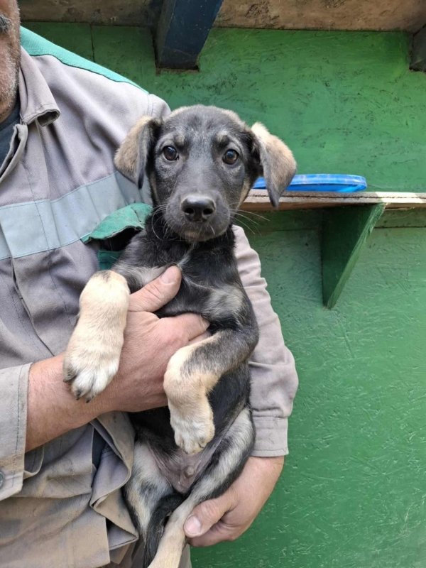 Whatsapp image 2025 10 20 at 11.03.18