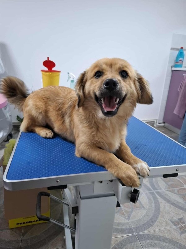 Whatsapp image 2025 10 25 at 13.15.36 (2)