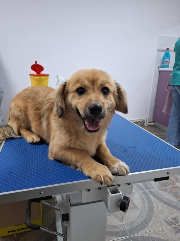 Whatsapp image 2025 10 25 at 13.15.36