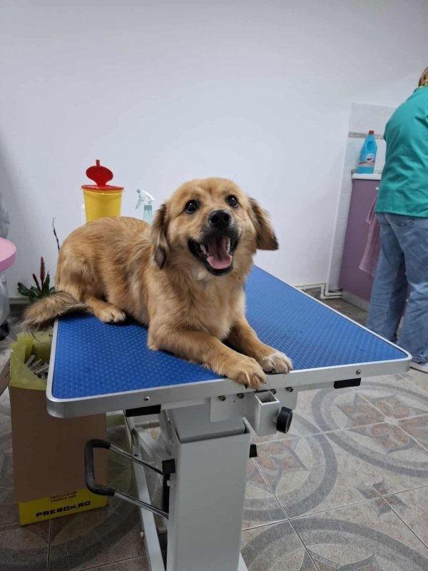 Whatsapp image 2025 10 25 at 13.15.37