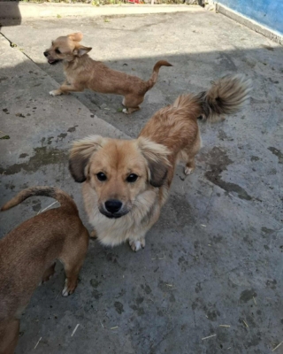 Whatsapp image 2025 11 02 at 14.19.43 (2)