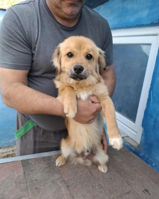 Whatsapp image 2025 11 02 at 14.19.43