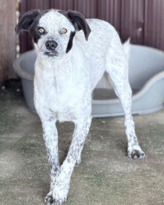 Keiko