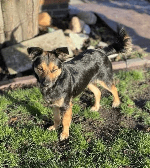 2025 11 21 11 37 11 Chat Copilot Pilot & Training Material Prep Microsoft Teams