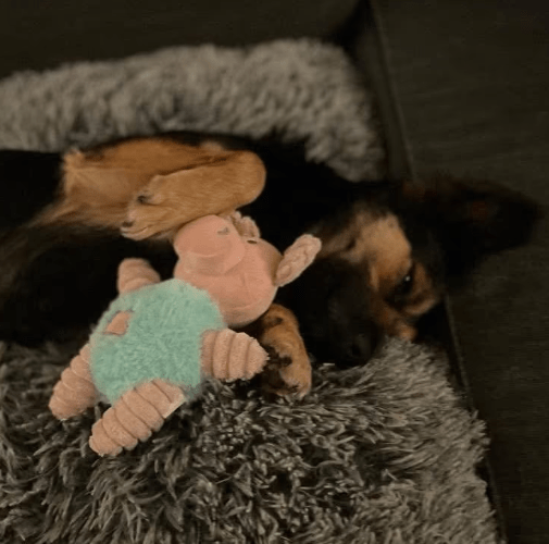 2025 11 21 11 37 27 Chat Copilot Pilot & Training Material Prep Microsoft Teams