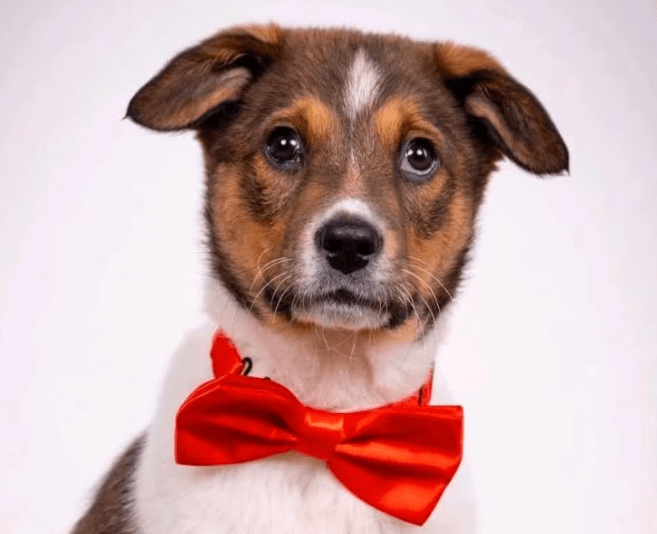 2025 12 02 10 53 15 Neue Rechnungen Bitte bearbeiten Nachricht (HTML)