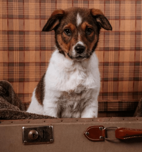 2025 12 02 10 53 20 Neue Rechnungen Bitte bearbeiten Nachricht (HTML)