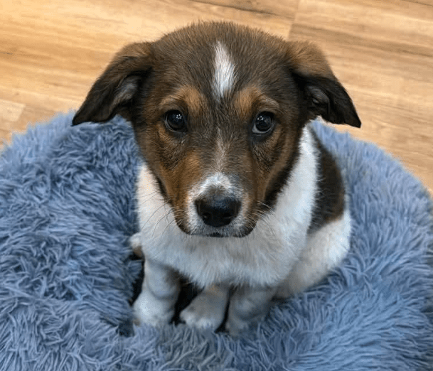 2025 12 02 10 53 25 Neue Rechnungen Bitte bearbeiten Nachricht (HTML)