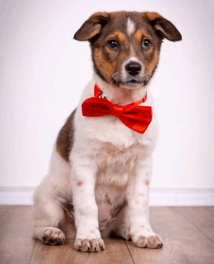 2025 12 02 10 53 28 Neue Rechnungen Bitte bearbeiten Nachricht (HTML)