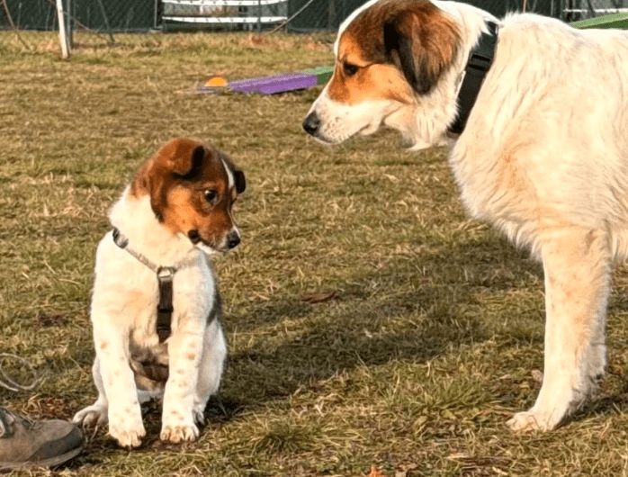 2025 12 02 10 53 33 Neue Rechnungen Bitte bearbeiten Nachricht (HTML)