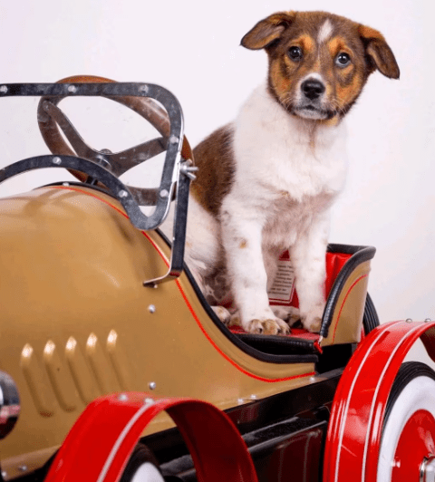 2025 12 02 10 53 38 Neue Rechnungen Bitte bearbeiten Nachricht (HTML)