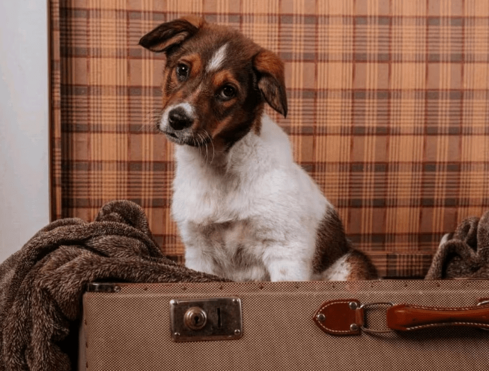 2025 12 02 10 53 47 Neue Rechnungen Bitte bearbeiten Nachricht (HTML)