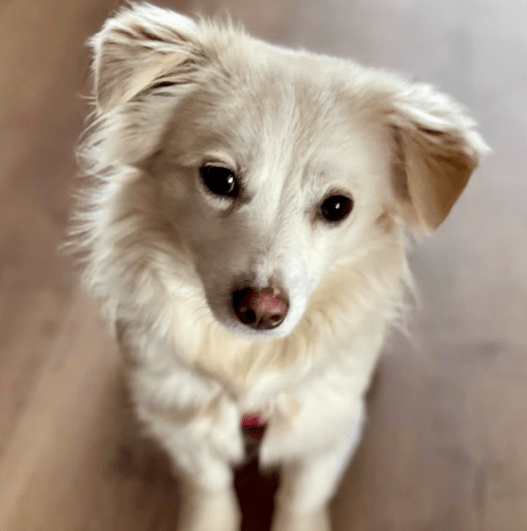 2025 12 02 11 01 34 Neue Rechnungen Bitte bearbeiten Nachricht (HTML)