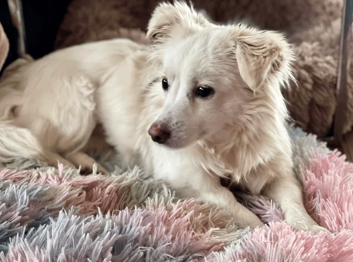 2025 12 02 11 01 39 Neue Rechnungen Bitte bearbeiten Nachricht (HTML)