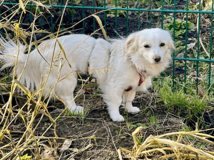 2025 12 02 11 01 45 Neue Rechnungen Bitte bearbeiten Nachricht (HTML)