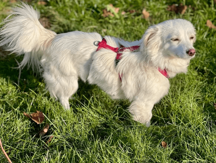 2025 12 02 11 01 50 Neue Rechnungen Bitte bearbeiten Nachricht (HTML)