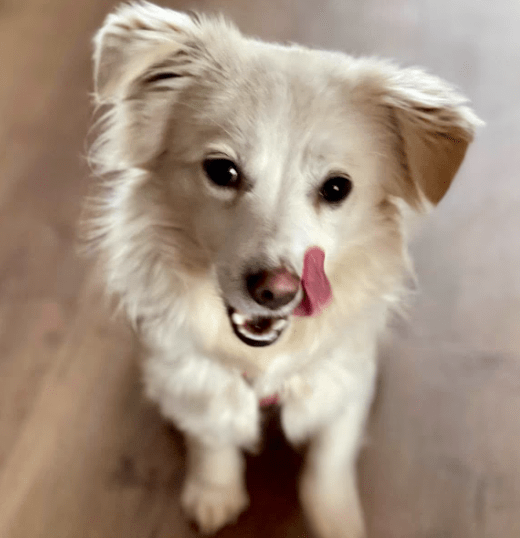 2025 12 02 11 01 54 Neue Rechnungen Bitte bearbeiten Nachricht (HTML)