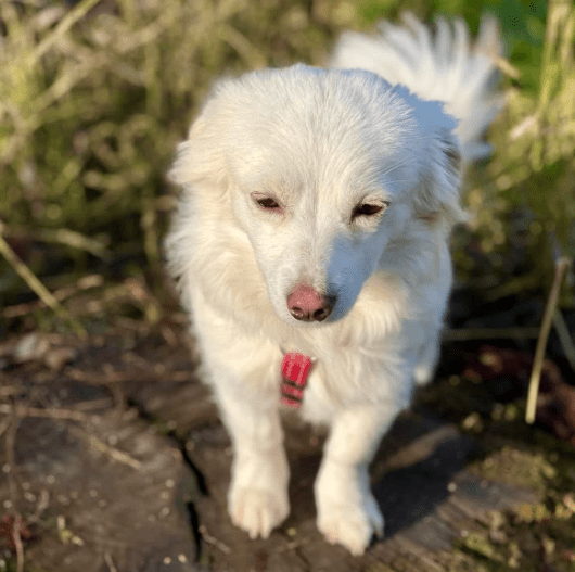 2025 12 02 11 01 58 Neue Rechnungen Bitte bearbeiten Nachricht (HTML)