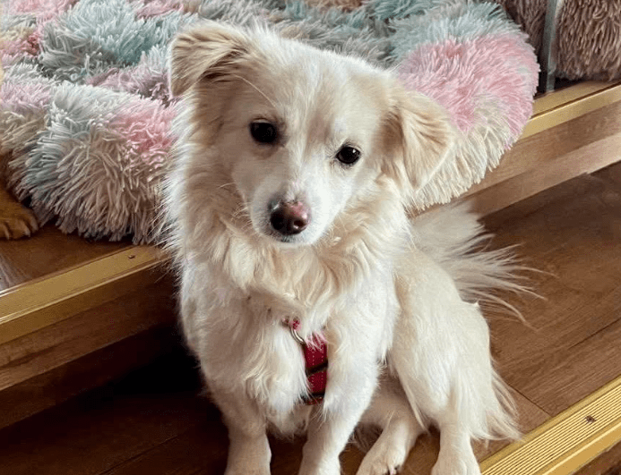 2025 12 02 11 02 02 Neue Rechnungen Bitte bearbeiten Nachricht (HTML)