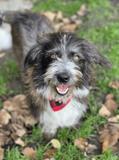 2025 12 02 11 02 47 Neue Rechnungen Bitte bearbeiten Nachricht (HTML)