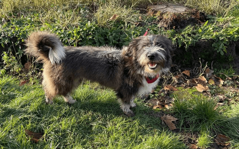 2025 12 02 11 02 51 Neue Rechnungen Bitte bearbeiten Nachricht (HTML)