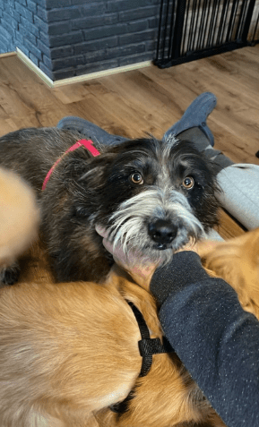 2025 12 02 11 02 55 Neue Rechnungen Bitte bearbeiten Nachricht (HTML)