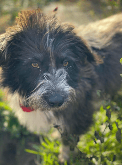 2025 12 02 11 02 58 Neue Rechnungen Bitte bearbeiten Nachricht (HTML)