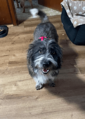 2025 12 02 11 03 02 Neue Rechnungen Bitte bearbeiten Nachricht (HTML)