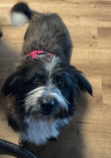 2025 12 02 11 03 06 Neue Rechnungen Bitte bearbeiten Nachricht (HTML)