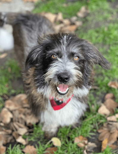 2025 12 02 11 03 12 Neue Rechnungen Bitte bearbeiten Nachricht (HTML)