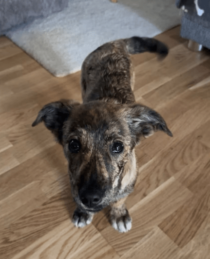 2025 12 09 08 48 11 Chat Perviz, Wahab Microsoft Teams